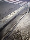 Čtenářka poslala redakci snímky starých špinavých laviček a nánosů holubího trusu na autobusovém stanovišti v Mladé Boleslavi.