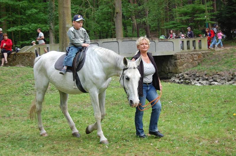 Svatojiřské harcování v lesoparku Štěpánka v Mladé Boleslavi.