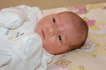 EMA se 3. srpna narodila rodičům Evě Kočové a Milanu Novosadovi z Mladé Boleslavi. Její míry jsou 48 centimetrů a 3150 gramů.