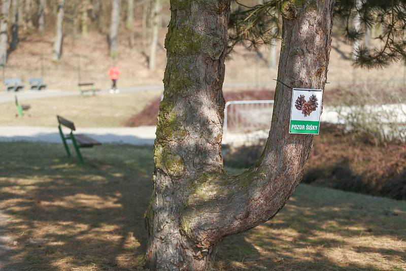 Areál dětského hřiště a koupaliště v Kosmonosích na Mladoboleslavsku.