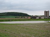 Pole mezi Mikulovicemi a Horním Újezdem.