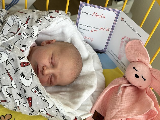 Letošní přestupňátka: na 29. února se v Třebíči narodily dvě děti