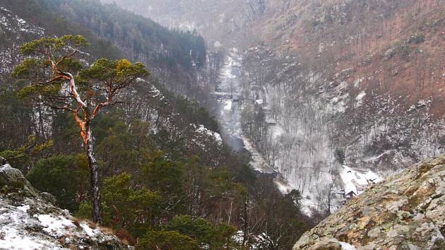OBRAZEM: Divoká Oslava se stala národní přírodní rezervací