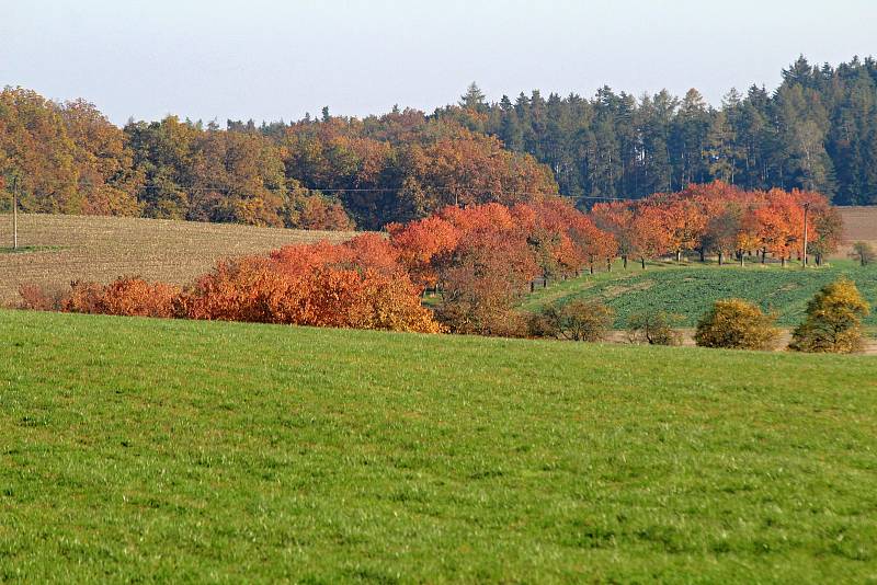 Jedna z nejkrásnějších vyhlídek na Třebíčsku, Hanzalův kopeček u Čáslavic.