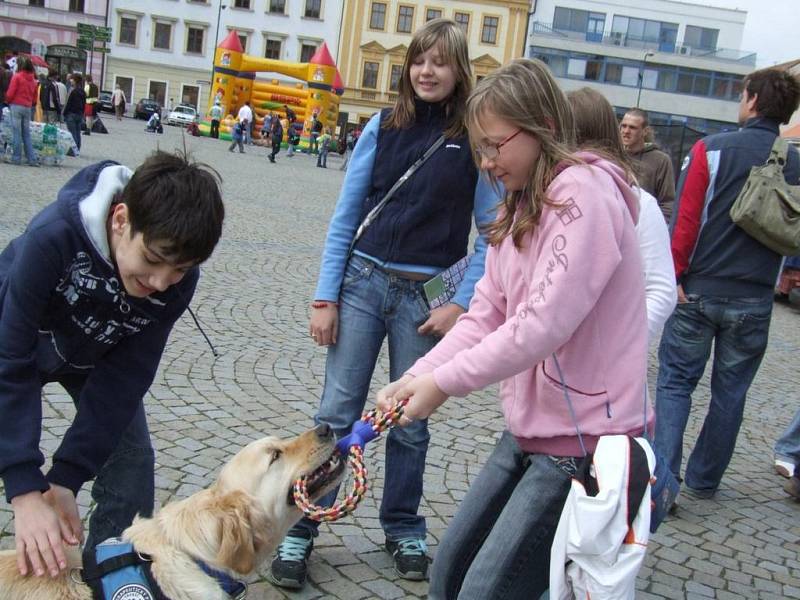 Velkou pozornost poutaly ukázky canisterapie, v rámci které se pracuje se psy.