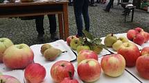 Jablkobraní v Náměšti nad Oslavou.