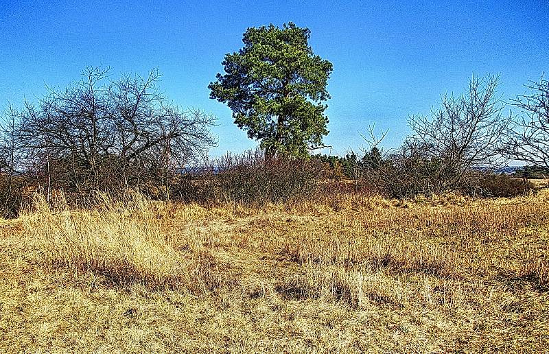 V blízkosti obce Kamenná se nachází řada kamenných památek