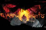 Flaming nights 2013.