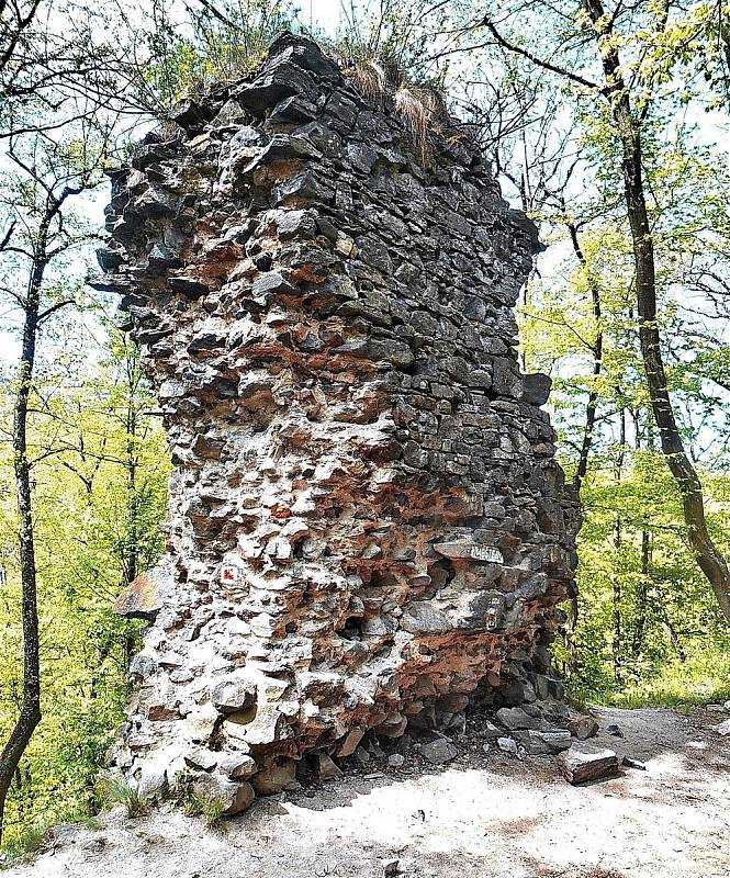 Tip na výlet. Okolí Mohelenské přehrady zve k vycházkám i zastavení