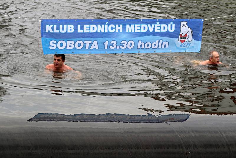 Otužilci v řece Jihlavě v Třebíči. Plavání uspořádal Klub ledních medvědů.