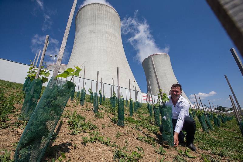 Slavnostní otevření jaderné vinice u Jaderné elektrárny Dukovany.