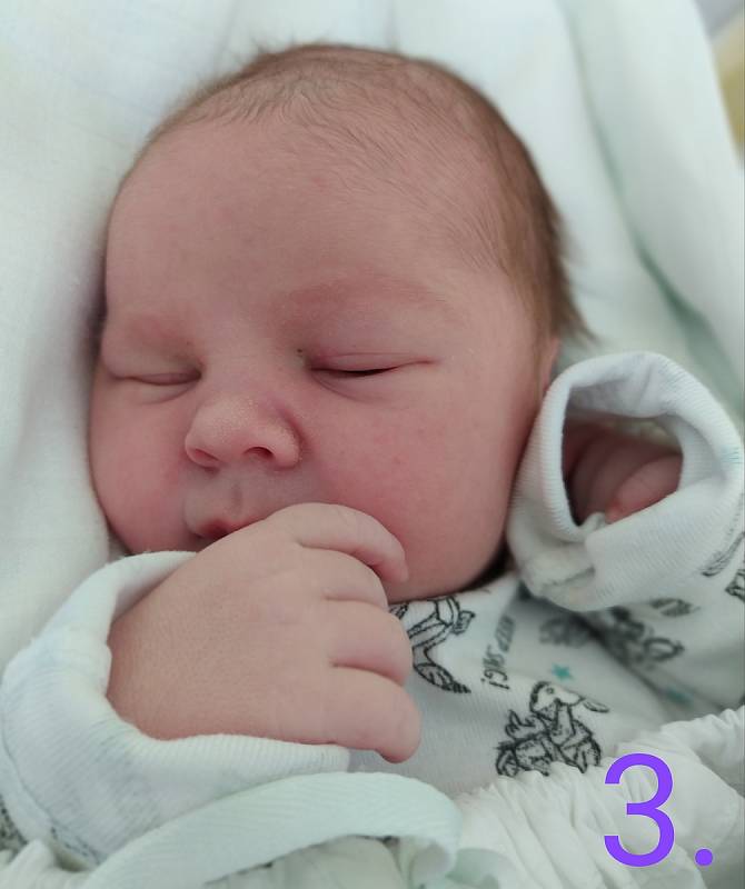 František Žáček, 19.5.2021, 51cm, porodnice Pelhřimov