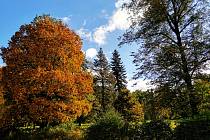 Podzimní příroda plná barev zve k procházkám