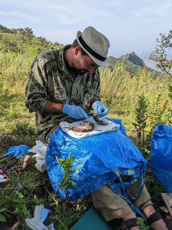 Odchycené vzorky se zkoumají přímo na místě. Podrobný výzkum ale probíhá až ve Studenci. Foto: Ústav biologie obratlovců AV ČR ve Studenci na Třebíčsku