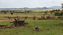 Africká příroda. Foto: Ústav biologie obratlovců AV ČR ve Studenci na Třebíčsku