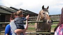 Farmářské slavnosti hostil Appaloosa ranč v Lažínkách u Moravských Budějovic. Atrakcí byla spousta.