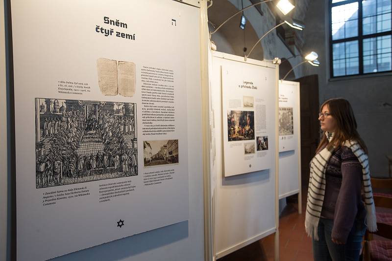 Expozice o proměnách židovské čtvrti a také výstava o polských židech v Zadní synagoze v Třebíči.