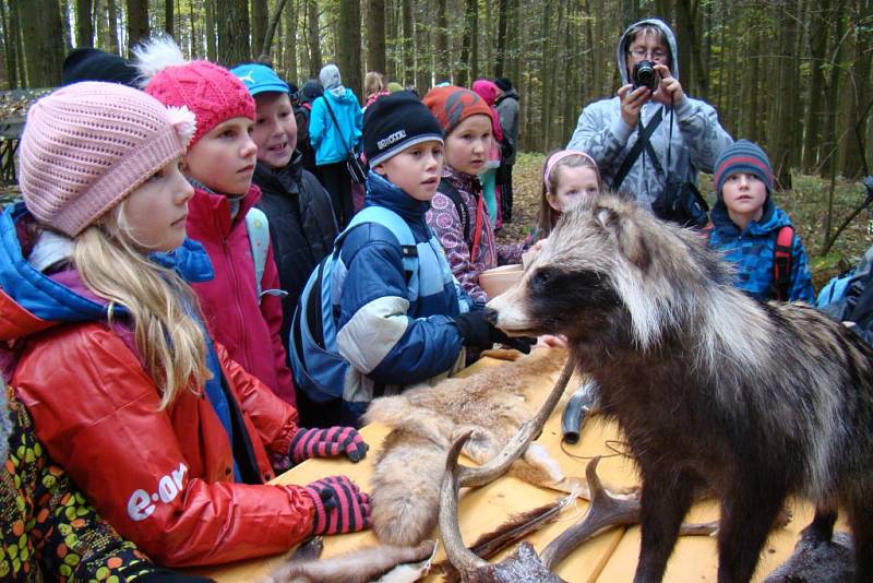 Všechny smysly musely zapojit děti při včerejším Dnu stromů v lesonické oboře. Mohly si zasadit strom a vyrobit ptačí budku, slyšely zvuk pily nebo viděly koně při práci v lese. 