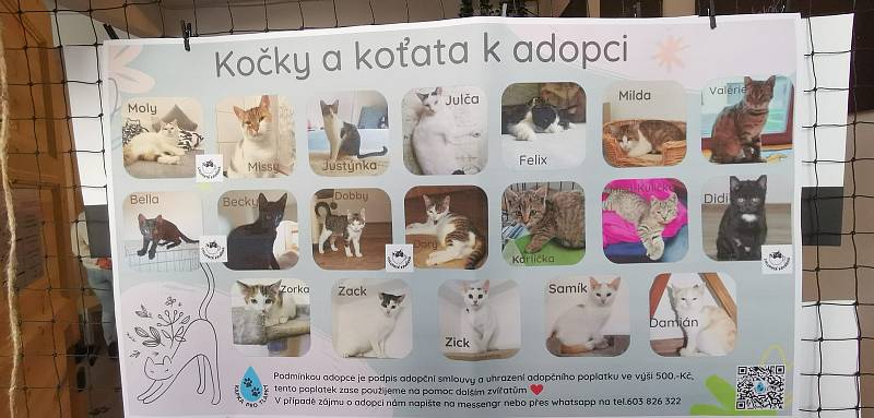 Chlupatá kavárna v Třebíči