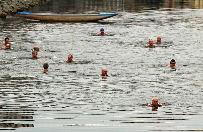 Otužilci v řece Jihlavě v Třebíči. Plavání uspořádal Klub ledních medvědů.