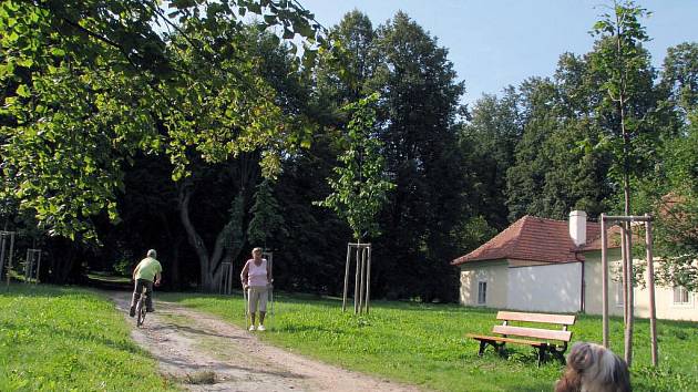Zámecký park v Budišově dostává novou tvář. U konce je první etapa obnovy zámecké aleje. 