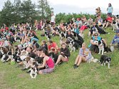 Mezinárodní mistrovství ČR border kolií v agility v Třebíči.