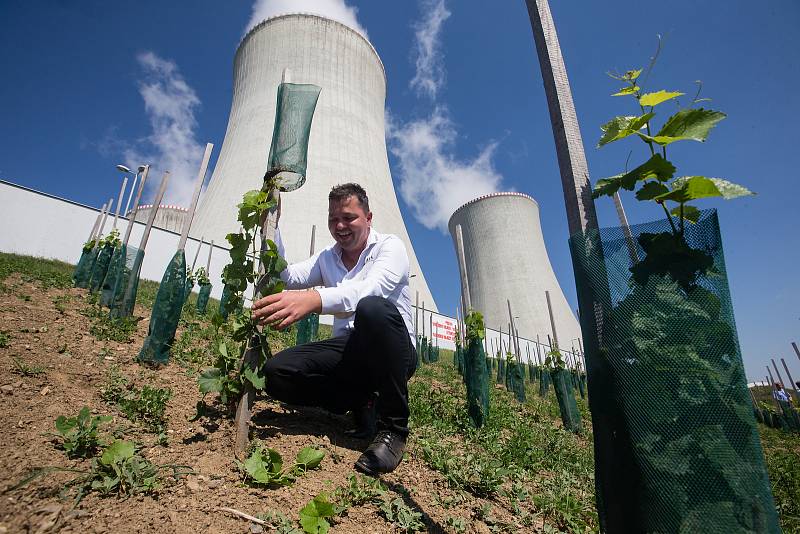 Slavnostní otevření jaderné vinice u Jaderné elektrárny Dukovany.