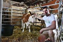 V Račicích na Třebíčsku funguje mlékomat. Lidé si zde mohou koupit čerstvé mléko od pěti krav z místní farmy, které se jmenují Alžběta, Julie, Rozárka, Kopretina a Zita.