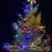 Vánoční strom ve Valči.