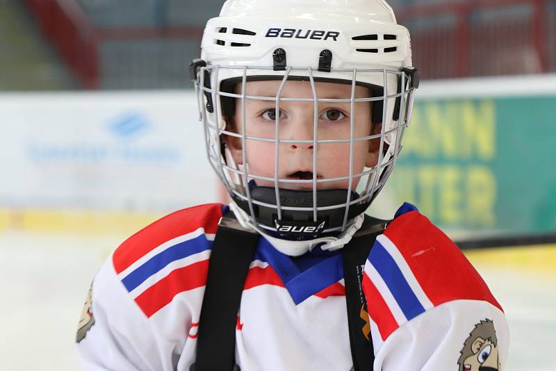 Celkem 38 nových bruslařů přivítal zimní stadion v Třebíči. Horácká Slavia se pravidelně zúčastňuje Projektu „Pojď hrát hokej“, jehož smyslem je přilákat děti k lednímu hokeji.