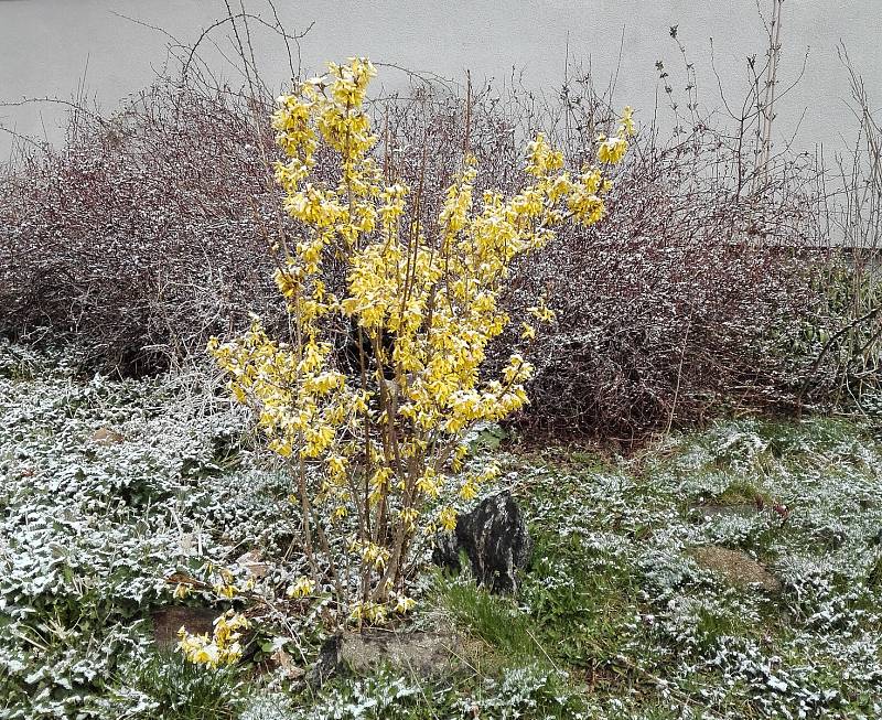Dopolední sněžení v Třebíči v úterý 31. března.