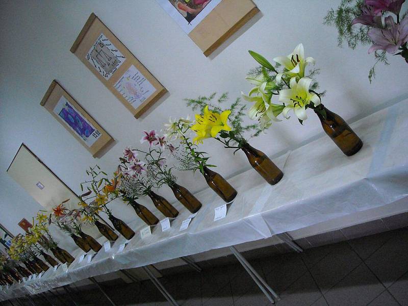 Výstava lilií probíhá o víkendu v budově školy ve Vladislavi. 