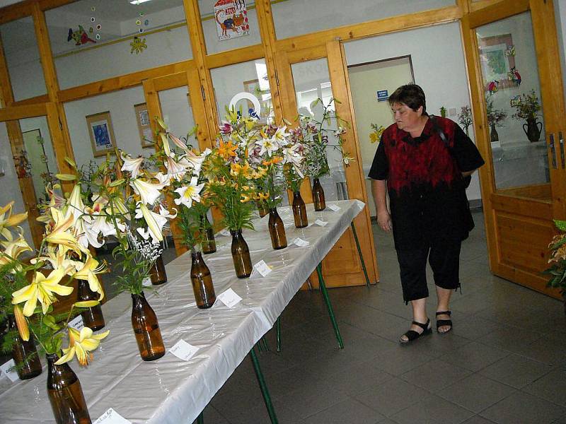 Výstava lilií probíhá o víkendu v budově školy ve Vladislavi. 