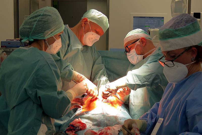 Operace kýly v Nemocnici Třebíč
