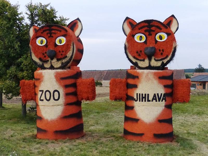 V roce 2016 vítali řidiče také tygři z jihlavské zoo.