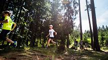 Nádherné slunečné počasí, ale i pořádný osvěžující déšť ke konci závodu provázel běžce na Milovech, kam letos úplně poprvé zavítal běžecký seriál Běhej lesy.