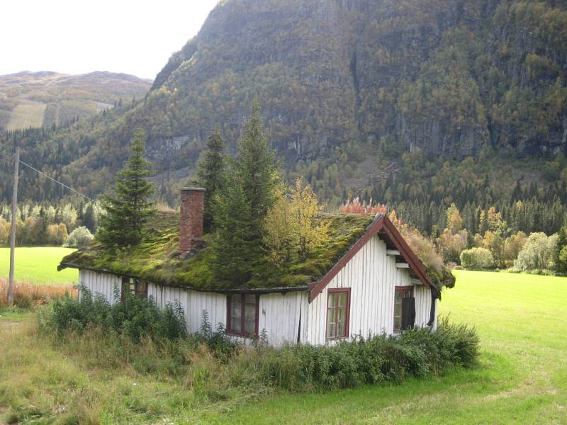 Příroda má zkrátka ve Skandinávii zelenou i v případě, když jde o rodinný dům.