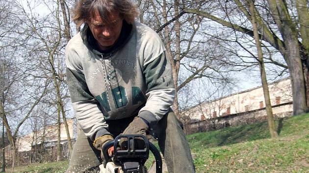 Akátový porost na jižním svahu třebíčského zámeckého parku po zásahu dřevorubců v tomto týdnu už nebrání výhledu na řeku. Z parku během krátké doby zmizí nejen nežádoucí akáty, ale také devětadvacítka jednotlivých inventarizovaných dřevin.