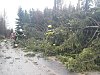 Hasiče na Vysočině od rána zaměstnávají nehody a popadané stromy