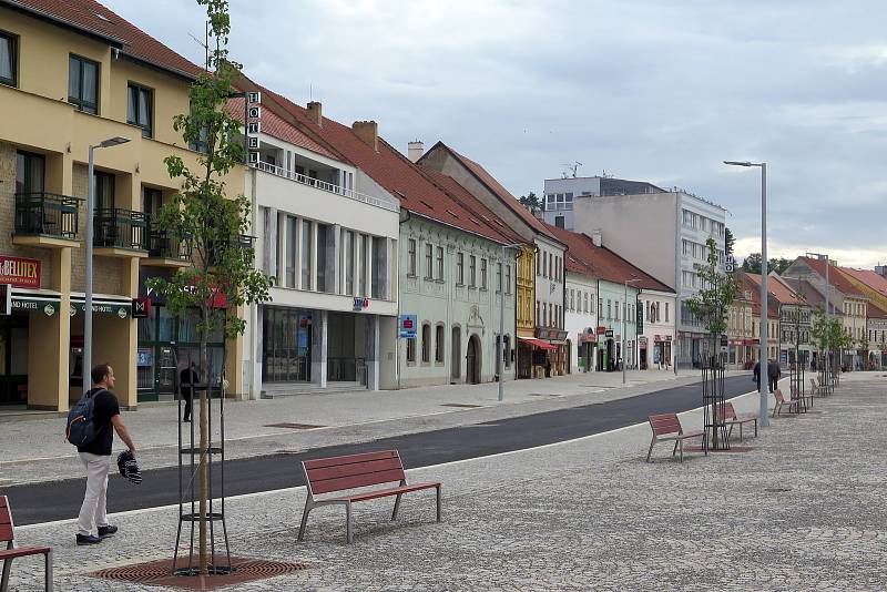 Národnímu památkovému ústavu Telč se nelíbí, že Třebíč na revitalizovaném Karlově náměstí vysázela víc stromů, než bylo v plánu. Podalo podnět Ministerstvu kultury, které město připravilo o dotaci.