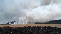 Požár kromě pole s obilím zasáhl i lesní porost.