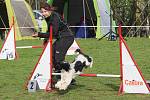 Velikonoční agility závod v Třebíči.