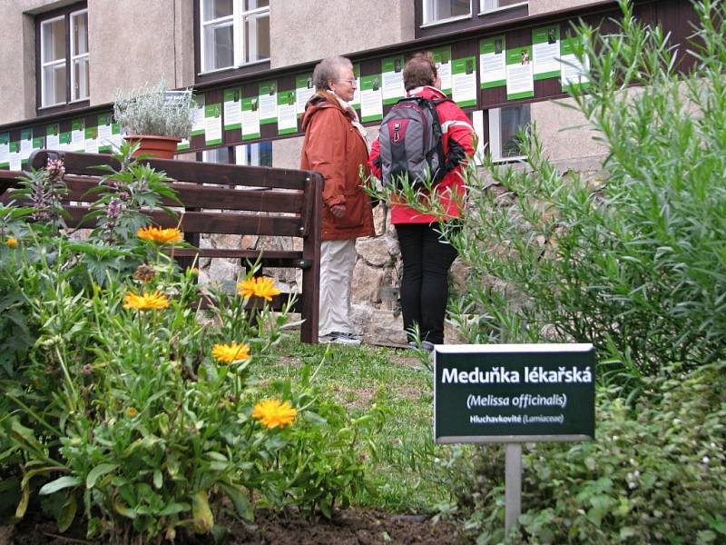 V Katolickém gymnáziu Třebíč mají nově bylinkovou zahrádku s pěti desítkami rostlinek. Její součástí je také naučná stezka s informacemi o bylinkách i příjemné posezení pro studenty a veřejnost.
