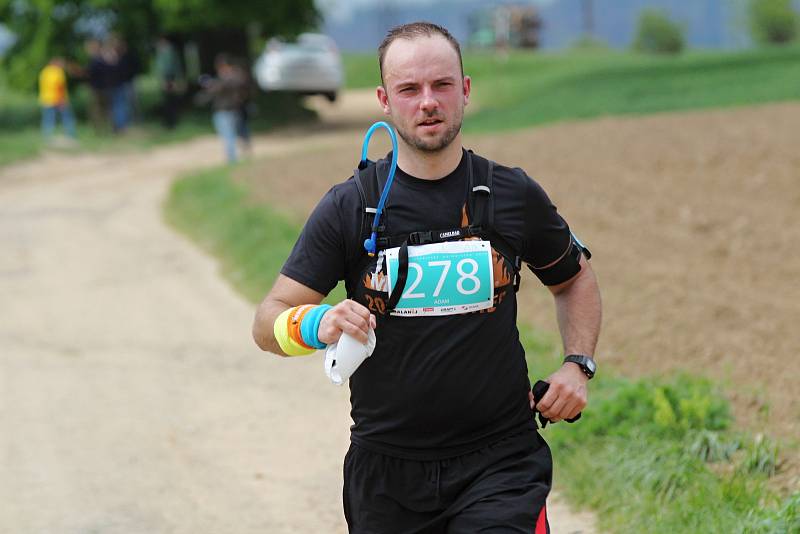 Halahoj Třebíčský půlmaraton 2019