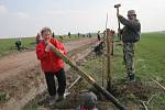 NOVÁ ALEJ. Novou alej vysadili v sobotu za obcí obyvatelé Kožichovic. 