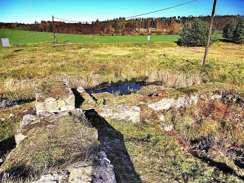 Pozůstatky zaniklé osady a tvrze Mstěnice. V pozadí vodní páry z chladících věží JE Dukovany, foto Ludvík Havlát