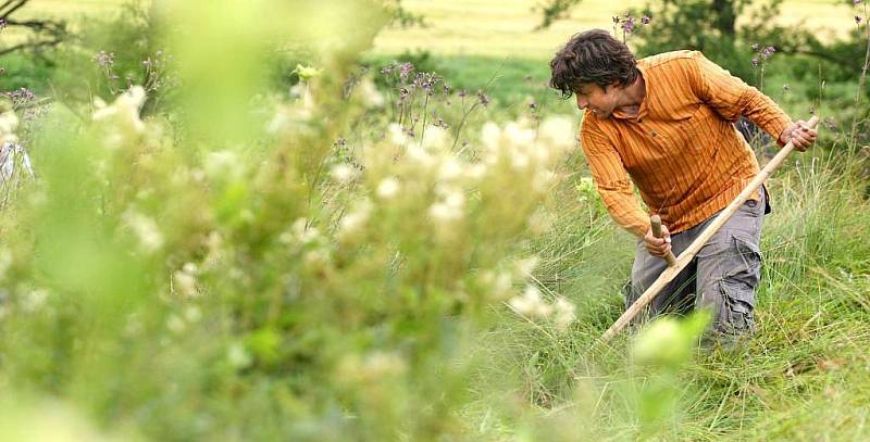 Devět dobrovolníků z řad ochránců přírody v pondělí časně ráno začalo kosit chráněná podmáčená luka se vzácnými orchidejemi poblíž Zašovic na Třebíčsku.