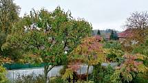 Podívejte se, jak vypadá podzimní zahrada našeho čtenáře. 