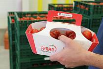 U Kožichovic sklízejí desítky tun rajčat.  Tisíc kilogramů týdně prodají ve vlastní prodejně v areálu skleníků.