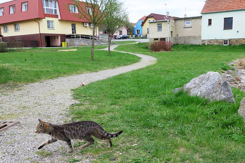 Poznáte obec na fotografii? Poradíme, že se nachází na severozápadním cípu Třebíčska.